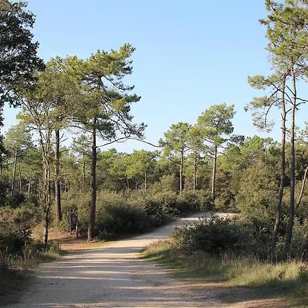 Entre Et Foret - Sauvage A Pied